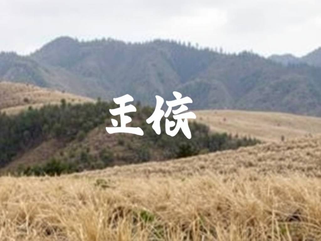 申猴今年几岁