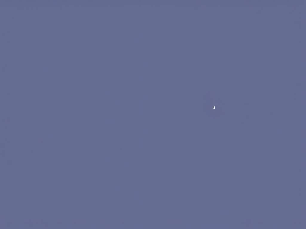 11月19日的天蝎座是什么性格