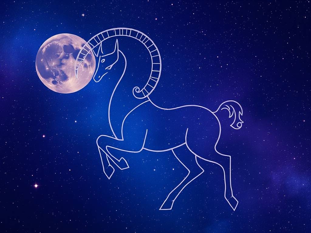 摩羯座运势详解