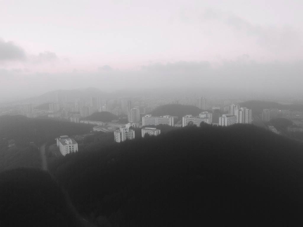 财运线分叉什么意思